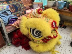 辉煌60载 魅力新西藏丨跨越百年的舞狮之约