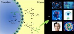 我国科学家创磷脂酰丝氨酸合成效率新纪录