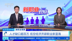 人才缺口超百万 低空经济开辟职业新蓝海